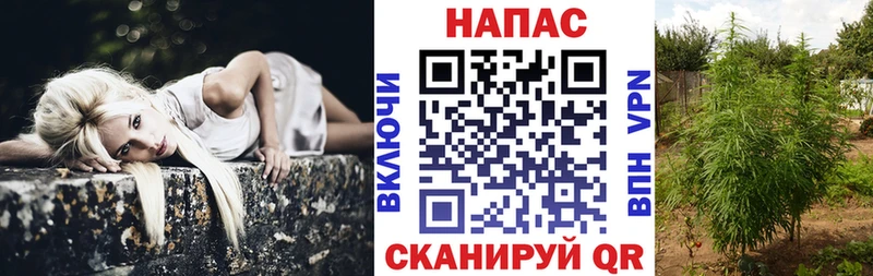 Где продают наркотики Шатура Амфетамин  A PVP  Гашиш  Бошки Шишки  МЕФ  Cocaine 