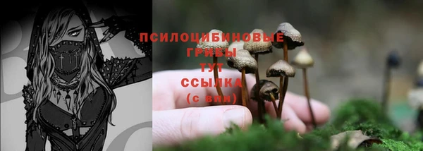 спиды Алексин
