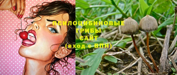 гашик Пересвет
