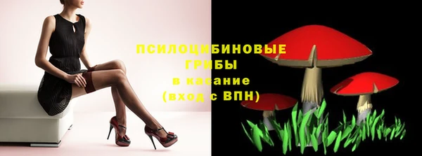 гашик Пересвет