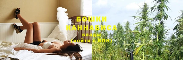 гашик Пересвет