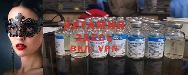 гашик Пересвет