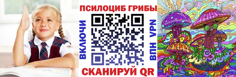 Галлюциногенные грибы GOLDEN TEACHER наркота Шатура